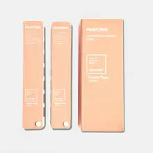 Pantone Fashion, Home + Interiors Color Guide Limited Edition 2024