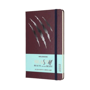 LE NOTEBOOK BEAUTY LARGE RULED SCRATCH