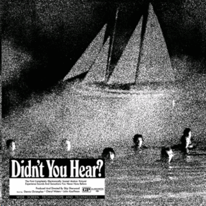 DIDN'T YOU HEAR? (LP - SILVER)