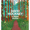 DAVID HOCKNEY: A BIGGER PICTURE