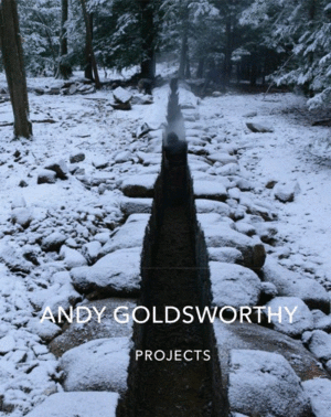 ANDY GOLDSWWORTHY: PROJECTS