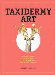 TAXIDERMY ART