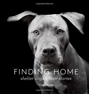 FINDING HOME