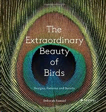 THE EXTRAORDINARY BEAUTY OF BIRDS