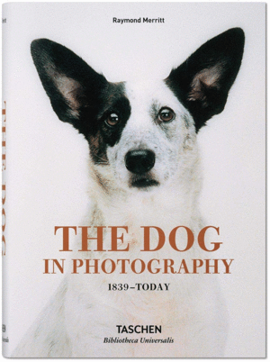 THE DOG IN PHOTOGRAPHY 1839TODAY