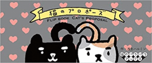 CAT'S PROPOSAL - FLIP BOOK