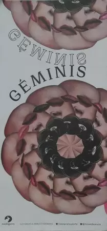 GEMINIS