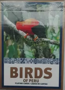 CASINOS BIRDS OF PERU