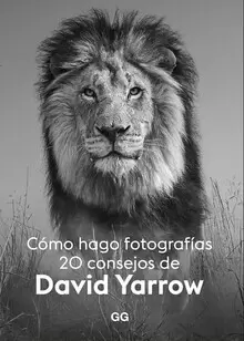 CÓMO HAGO FOTOGRAFÍAS : 20 CONSEJOS DE DAVID YARROW
