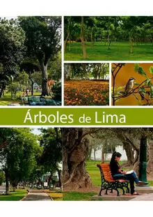 ÁRBOLES DE LIMA.