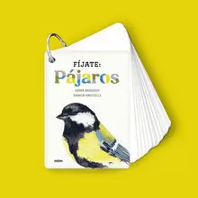 FIJATE: PAJAROS
