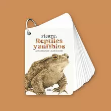 FÍJATE: REPTILES Y ANFIBIOSQ